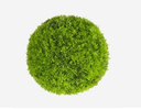 [MNZ-14008] كرة عشبية شبت أخضر مقاس 38  سم